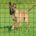 PVC powlekane spawane ogrodzenie euro/Holland Tree Fence